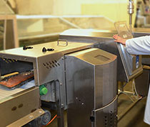 Ứng dụng đ&oacute;ng g&oacute;i để kiểm tra protein