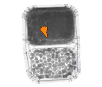 T&ocirc;i n&ecirc;n kiểm tra ở đ&acirc;u?