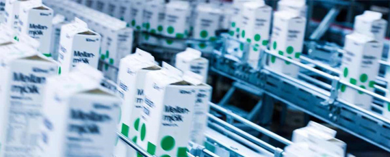 Tetra pack milk cartons on a production line
