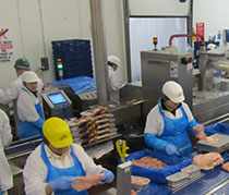 Combo Metal detector system detecting and weighing processed poultry