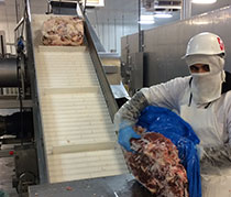 Inspection of bulk frozen meat joints following primary processing